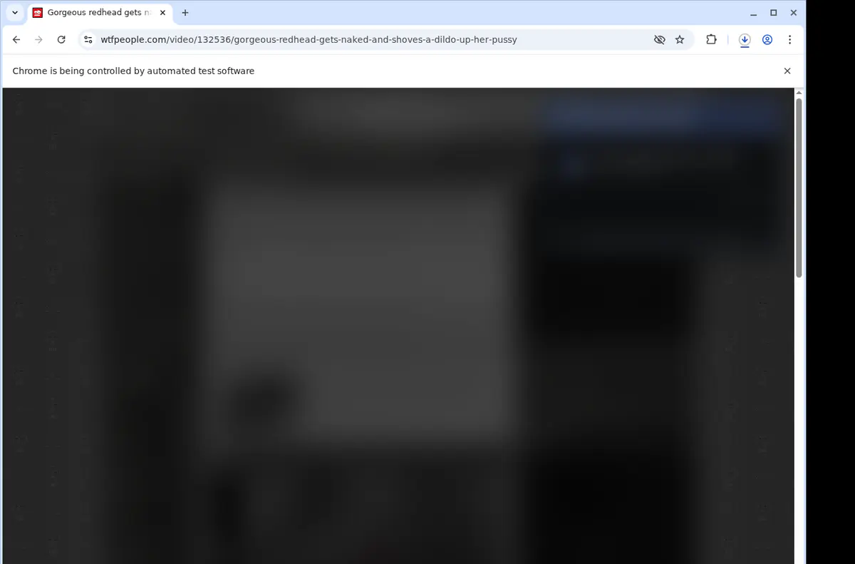 Wtfpeople Video Downloader browser extension screenshot 2