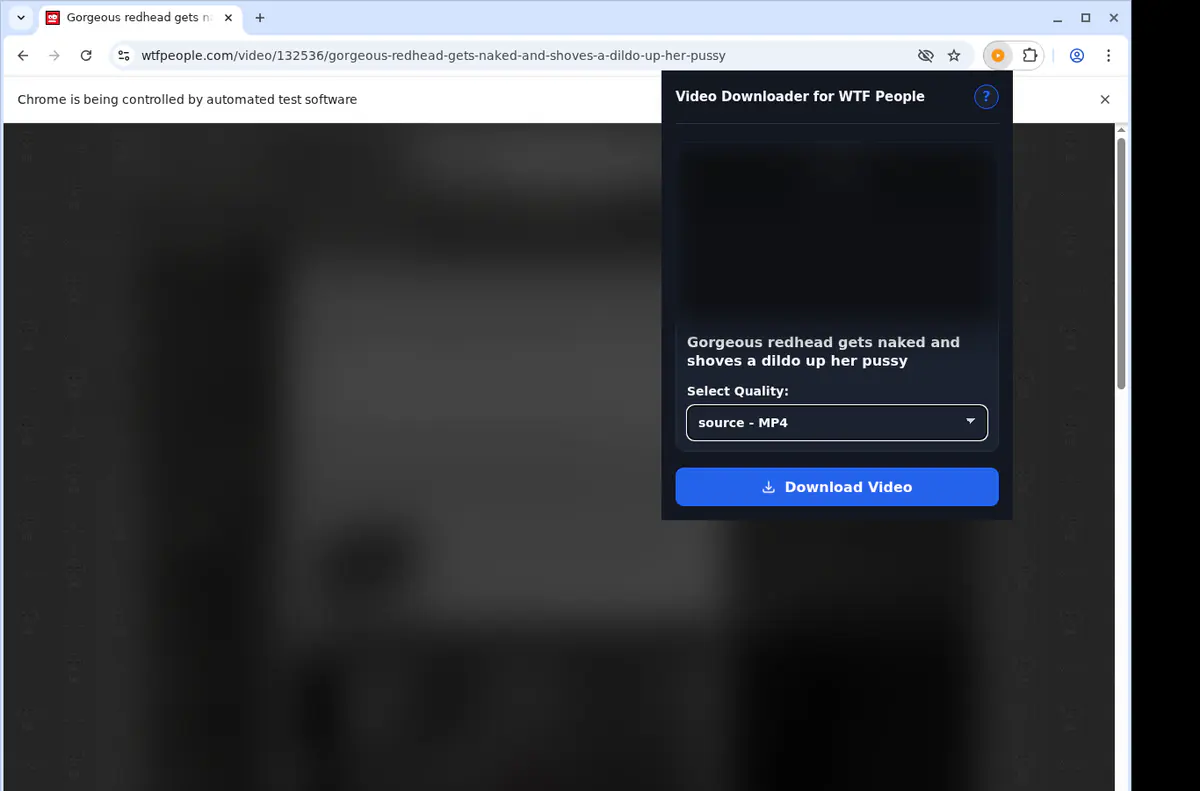 Wtfpeople Video Downloader browser extension screenshot 3