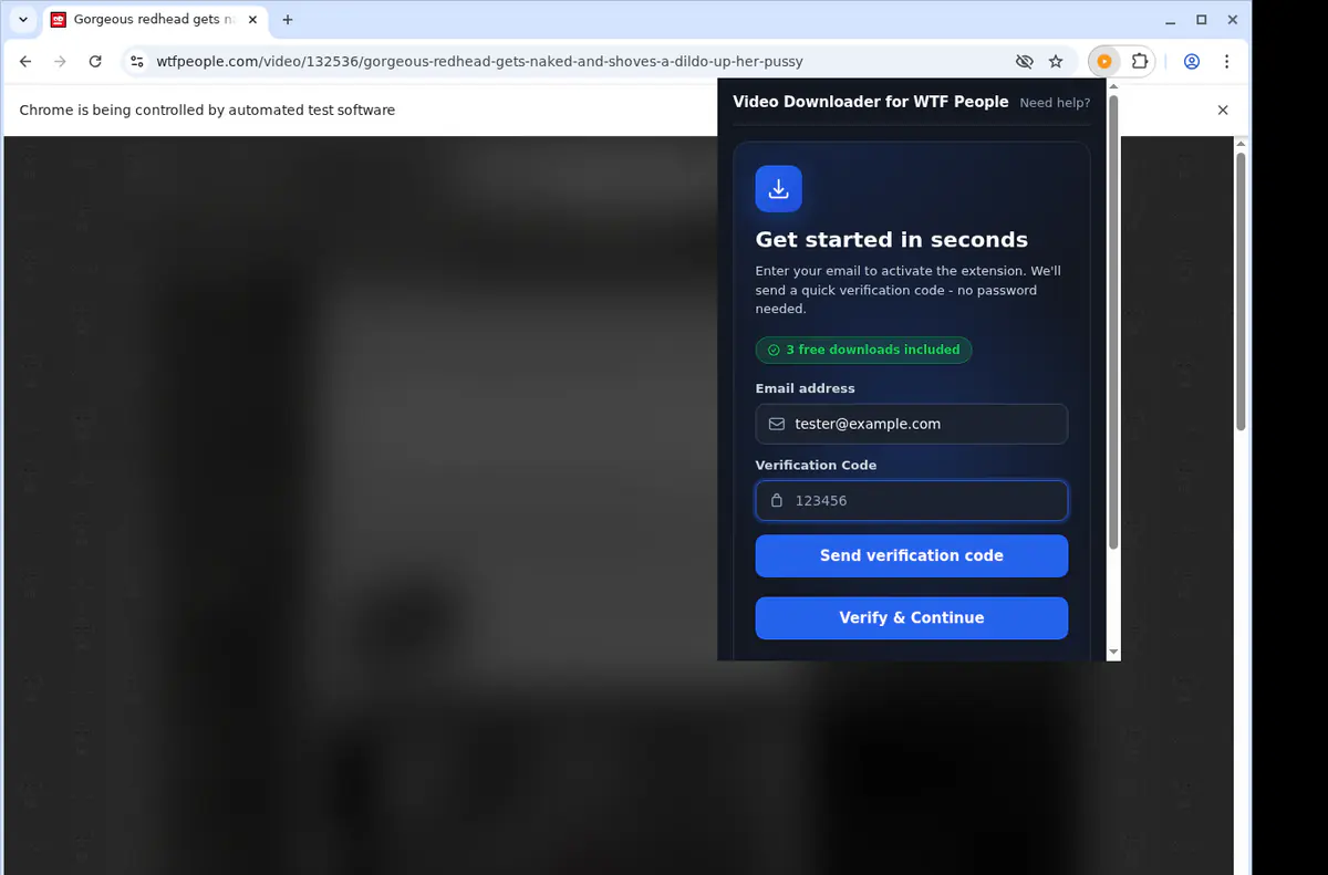 Wtfpeople Video Downloader browser extension screenshot 4