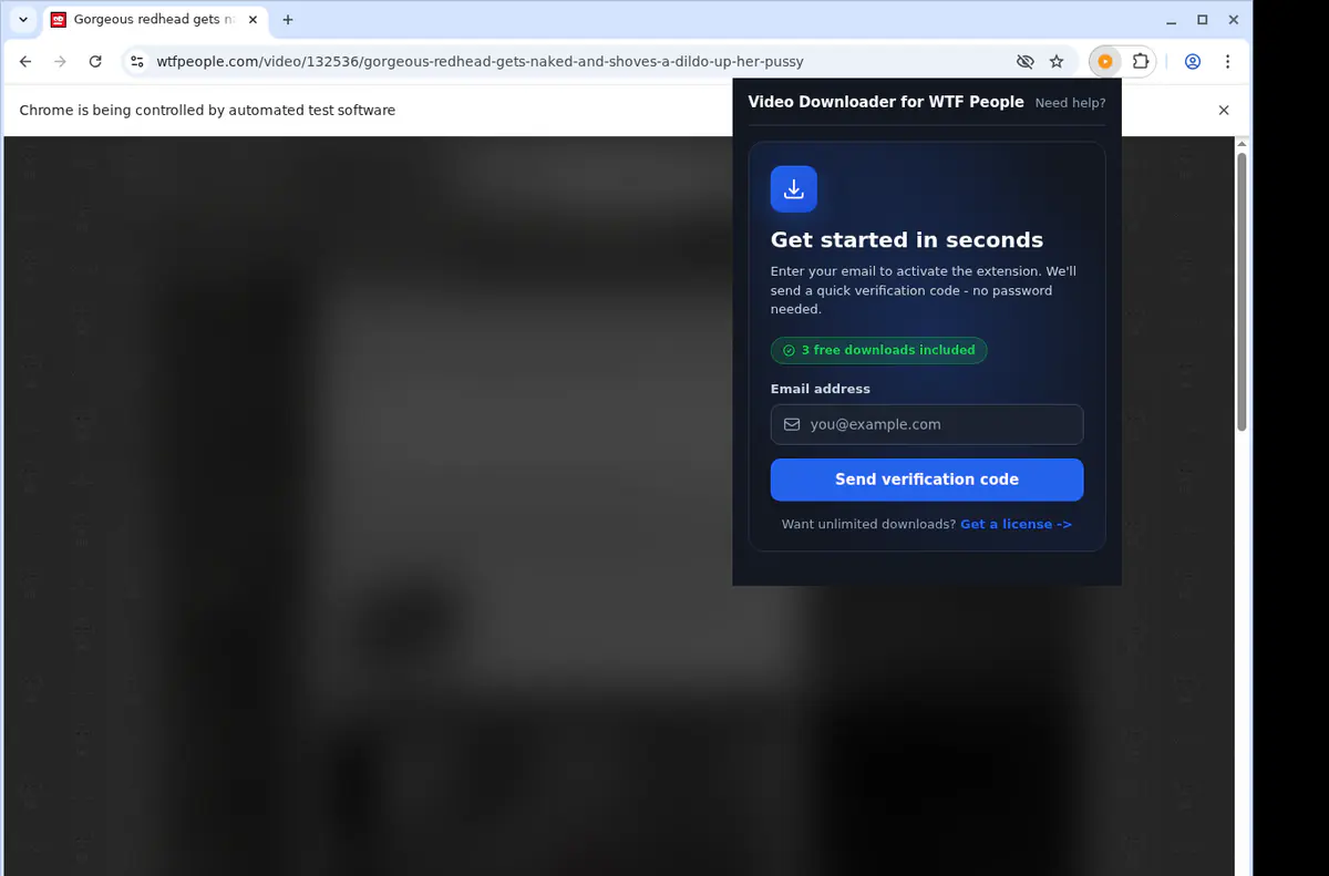 Wtfpeople Video Downloader browser extension screenshot 5